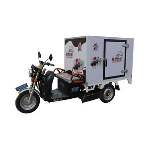 china electric freeze food delivery bike cargo delivery tricycle for sale