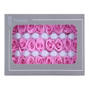 China Factory Supply Wholesale 2-3 Cm Everlasting Flower Head Preserved Roses dry plants and decoration plants