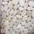 Import China Supplier Decoration Landscape Garden Cobble Pebble Pavers Stone from China