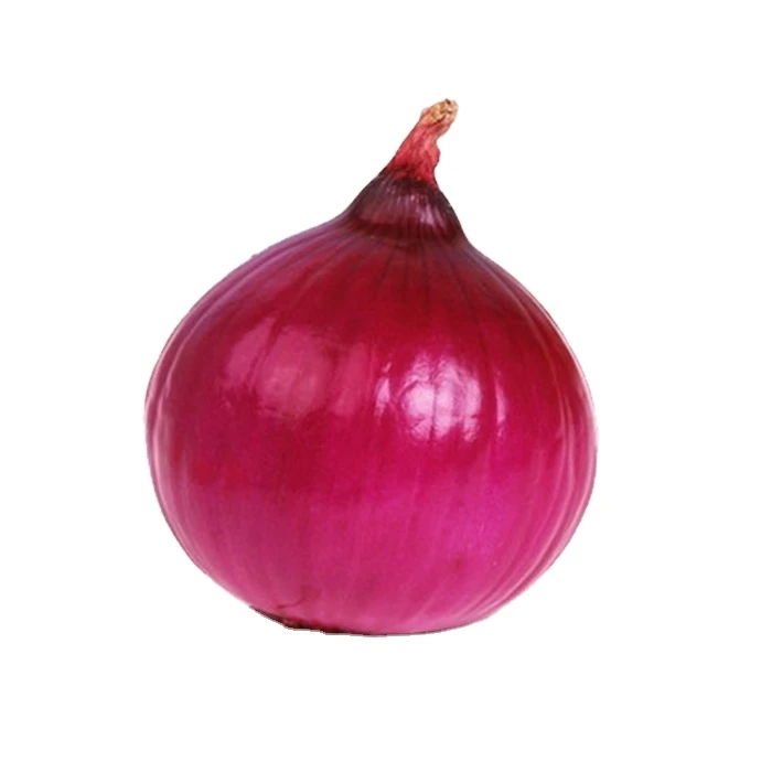 Chinese onion from China
