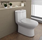 Chinese Supply Toilet With Toilet Seat For Chinese Qirl