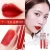 Import Classical Lezzi 12 Chinese Zodiac Air Lip Glaze Mousse Smooth Colorful Velvet Lip Gloss from China