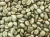 Import Coffee Beans from India from India