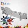 Commercial Fruit And Vegetable Cleaning Bubble Peeling Brush Carrot Cassava Apple Washing Machine
