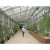 Import commerical steel frame agricultural garden green houses with good price from China