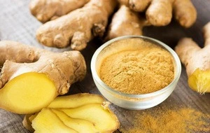 Contact Supplier Leave Messages Herbal Powder HPLC 5% Gingerols organic ginger extract