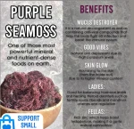 COTTONII SEAWEED/DRIED  PURPLE SEAMOSS WITH GOOD PRICE