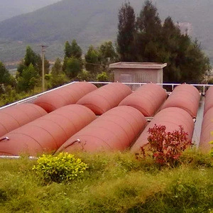 cow pig chicken manure dung biogas waste treatment machine balloon bag equipment