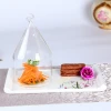 Creative transparent glass fuming cover small s-shaped molecular cooking utensils club house restaurant tableware supplies