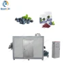 Cryogenic micronizer for pharmacy industry