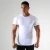 Import Custom Active Wear T Shirt Short Sleeve Blank Compression Shirts Men Body Fit Shirts Sport Wear Running Men from China