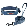 Custom Personalized Pet Dog Tag pet Dog Collars Leashes Luxury Nylon Custom Dog Collar With Name Plate