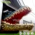 Import Customer Made Giant Animatronic Animal Model Crocodile Head from China