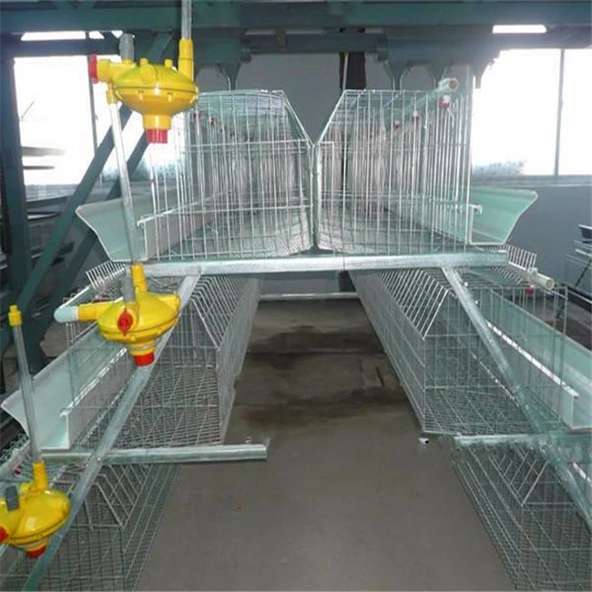 Design Modern Poultry Farm House Leabon Automatic Galvanized Battery Chicken Cages for Sale