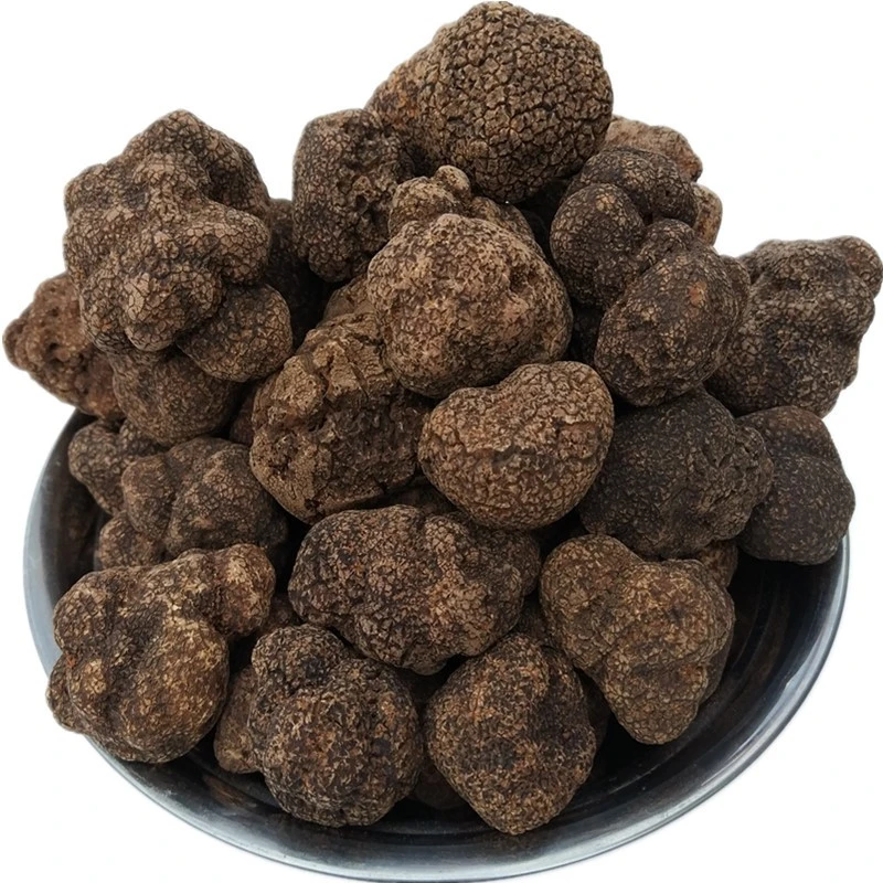 DETAN truffles mushroom price/fresh black truffle for sale