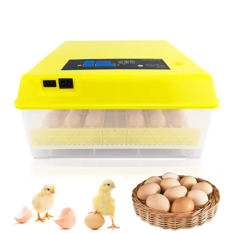 Digital thermostat and humidity black chick incubators for the eggs AI-48