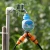 Import Digital Watering Timer Home Gardening Sprinkler Irrigation Water Timer with Rain Sensor from China