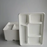Disposable Food Tray With Bagasse 5 Compartments Biodegradable Lunch Tray 5 Divide Sugarcane Paper Plates Sugar Cane