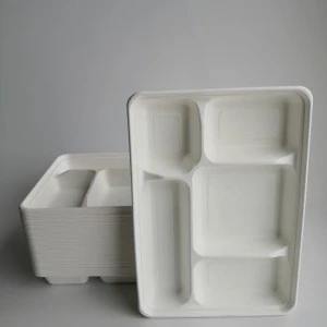 Disposable Food Tray With Bagasse 5 Compartments Biodegradable Lunch Tray 5 Divide Sugarcane Paper Plates Sugar Cane