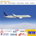 Door To Door International Logistics Service Freight Forwarder In Shenzhen/Shanghai