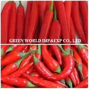 DRIED BIG CHILI pickle _High quality from Vietnam
