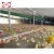 Import drinking system for chicken cage quail battery cages with drinking system from China