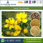 Efficient Foam Stabilizer Cassia Gum Powder foe Frozen Dairy Dessert and Pet Food
