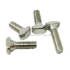 European Standard Carbon Steel Hammer Head Lock Nut for Aluminum Frame Structures