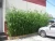 Import Evergreen tall artificial bamboo plant from China