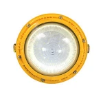 Explosion-proof area professional led light high quality  50W High Power Led Flood Led Light 50W explosion proof led lighting