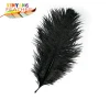 Factory cheap price black feather 20cm-25cm ostrich feathers