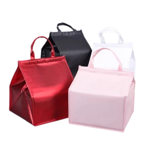 Factory direct sale insulated logo beach bottle lunch shopping tote custom breastmilk cooler bag