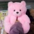 Import Factory direct sale red teddy bear slippers teddy bear slippers from China
