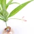 Import Factory direct sale single pink orchid leaf home decoration ornament artificial plant wholesale from China