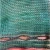 Import Factory supply sun shade net protection netting for agriculture from China