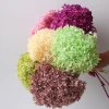 Factory Wholesale High Quality Natural A Grade Preserved Hydrangea With Stem for wedding decoration
