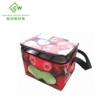 Factory wholesale Insulated lunch Cooler Bags Shopping Tote bag With Zipper For Picnic and Camping