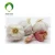 Import Factory wholesale sale nature plant extract  Allicin/Garlic extract cas539-86-6  1% 2% 15% 25% HPLC from China