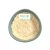 FocusHerb Natural Food Ingredients Organic Rice Protein Isolate