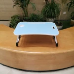 Folding Computer Desk Multifunctional Light Foldable Table Dormitory Bed Notebook Small Desk Picnic Table Laptop Bed Tray