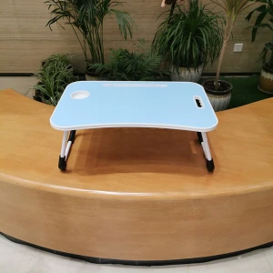Folding Computer Desk Multifunctional Light Foldable Table Dormitory Bed Notebook Small Desk Picnic Table Laptop Bed Tray