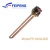 Import FP-545 copper replaceable electric water heater spare parts from China
