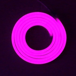 Free sample 110V/220V 2835smd pink led neon light for buling decoration
