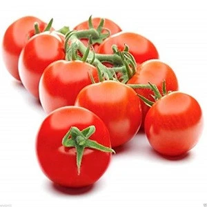 Fresh Cherry Tomatoes Fresh Tomatoes