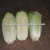 Import Fresh chinese jade cabbage from China