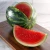 Import Fresh Fruits Water Melons No chemical from United Kingdom