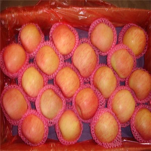 fresh fuji apple china fruit exporter