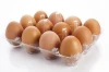 Fresh Organic Chicken Table Eggs
