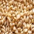 Import Fresh products open bulk original non-fried hand-picked pine nuts from Germany