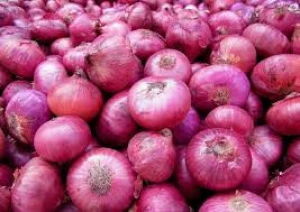 Fresh Red Onion Importers Fresh Vegetables